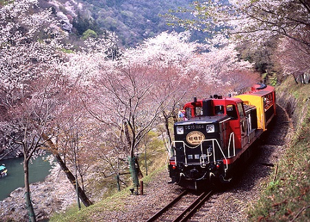 sagano-railway3