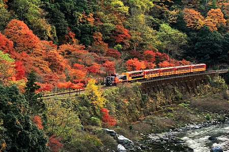 sagano-railway4