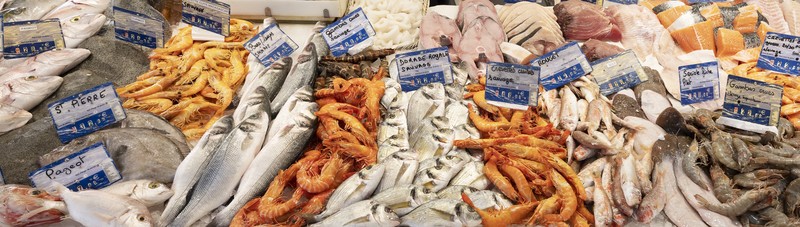 ตลาดปลาโตเกียว ทีมิสุ